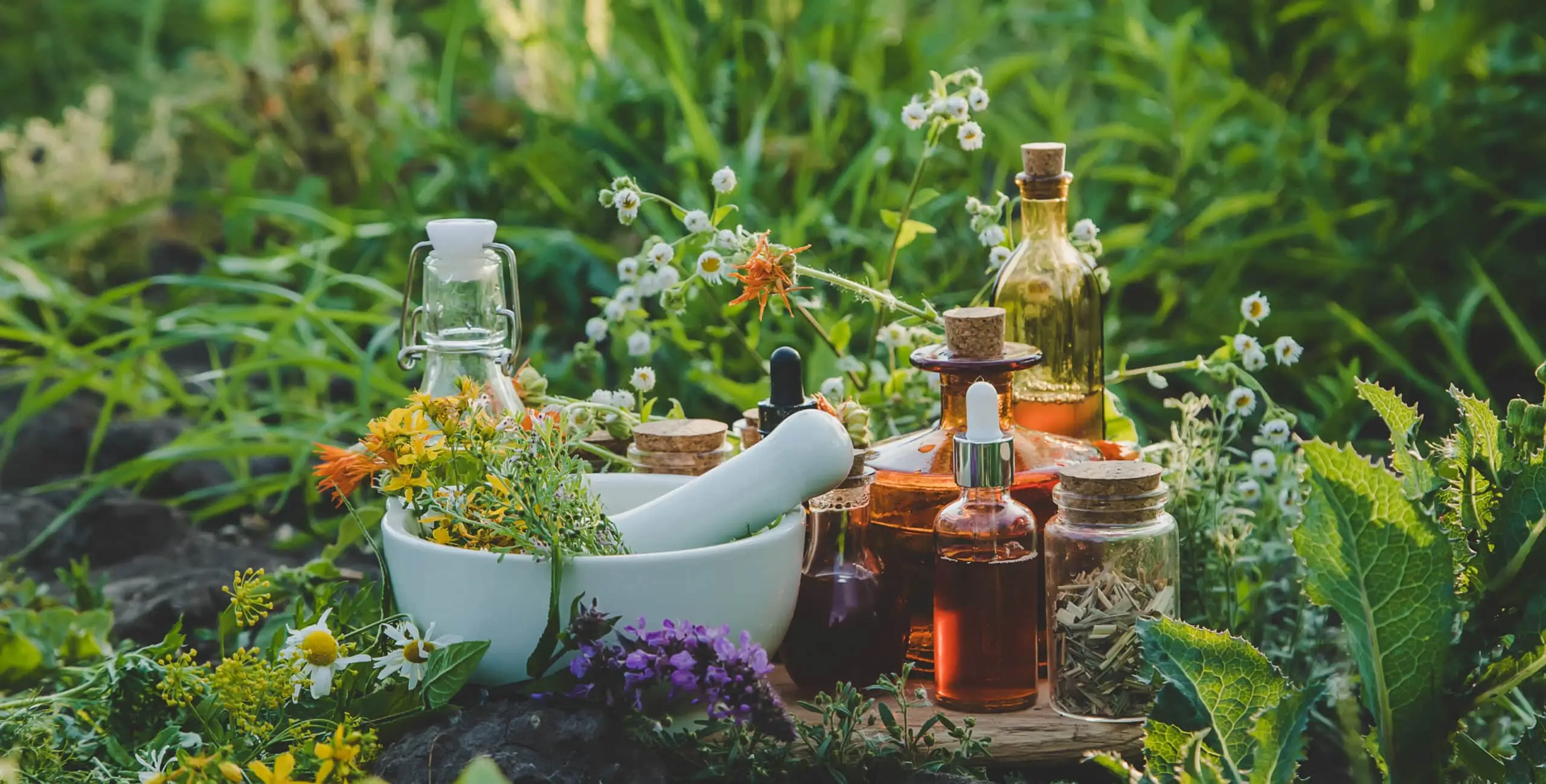 Flacons d’huiles, plantes médicinales et mortier disposés dans un jardin verdoyant